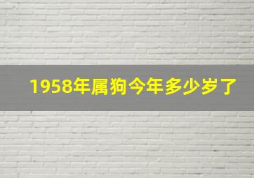 1958年属狗今年多少岁了