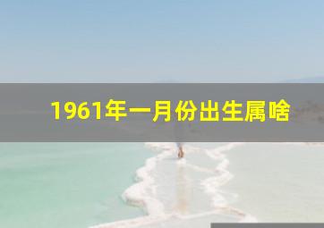 1961年一月份出生属啥