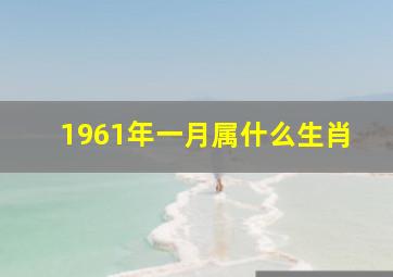 1961年一月属什么生肖