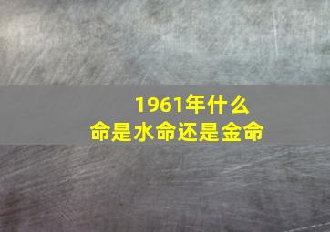 1961年什么命是水命还是金命