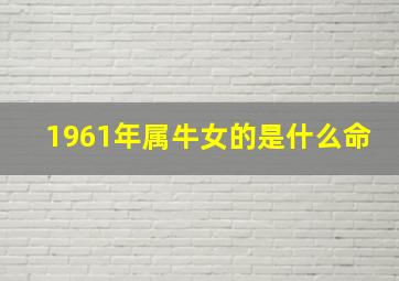 1961年属牛女的是什么命