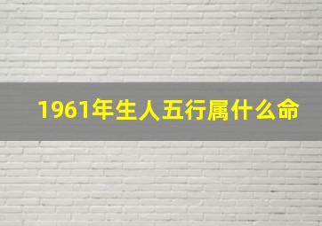 1961年生人五行属什么命