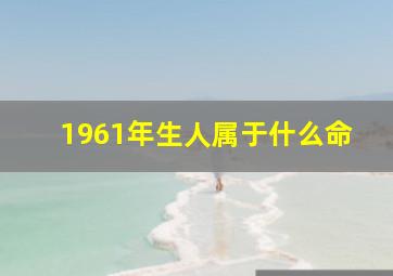 1961年生人属于什么命