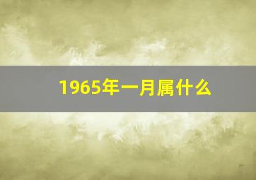 1965年一月属什么