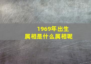 1969年出生属相是什么属相呢