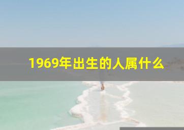 1969年出生的人属什么