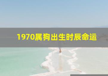 1970属狗出生时辰命运