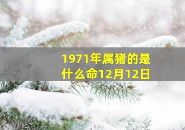 1971年属猪的是什么命12月12日