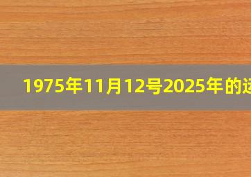 1975年11月12号2025年的运势