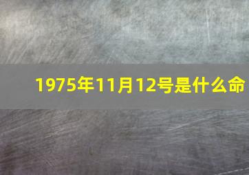 1975年11月12号是什么命