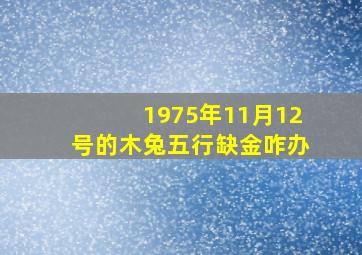 1975年11月12号的木兔五行缺金咋办