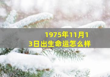 1975年11月13日出生命运怎么样