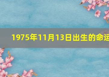 1975年11月13日出生的命运