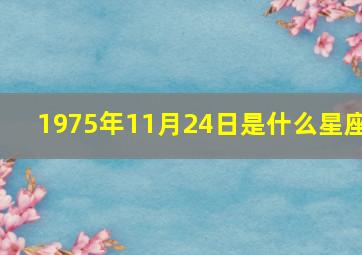 1975年11月24日是什么星座