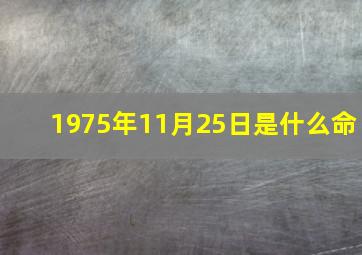 1975年11月25日是什么命