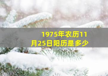 1975年农历11月25日阳历是多少