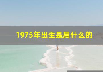 1975年出生是属什么的