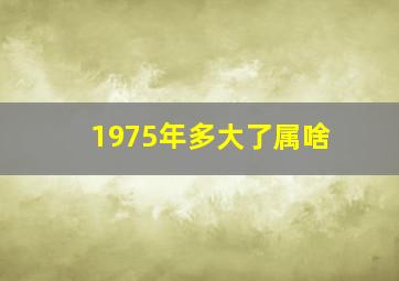 1975年多大了属啥