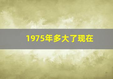 1975年多大了现在