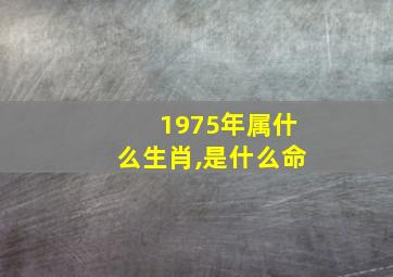 1975年属什么生肖,是什么命