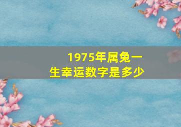 1975年属兔一生幸运数字是多少