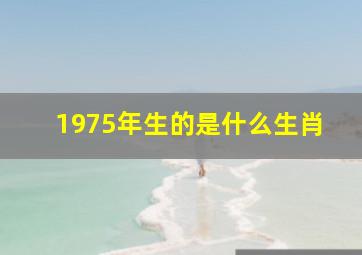 1975年生的是什么生肖