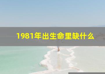 1981年出生命里缺什么