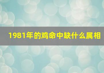 1981年的鸡命中缺什么属相