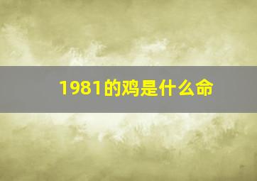 1981的鸡是什么命