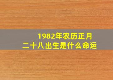 1982年农历正月二十八出生是什么命运