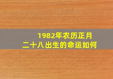 1982年农历正月二十八出生的命运如何