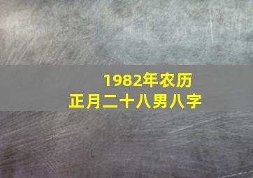 1982年农历正月二十八男八字