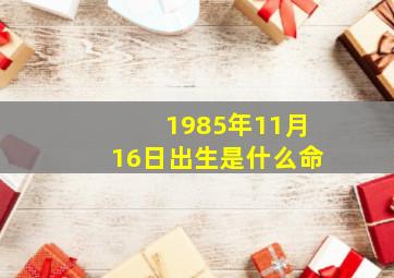 1985年11月16日出生是什么命