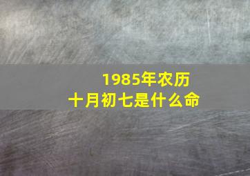 1985年农历十月初七是什么命