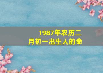 1987年农历二月初一出生人的命