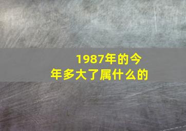 1987年的今年多大了属什么的