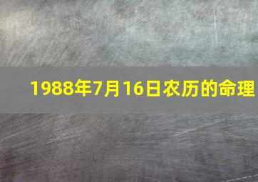 1988年7月16日农历的命理