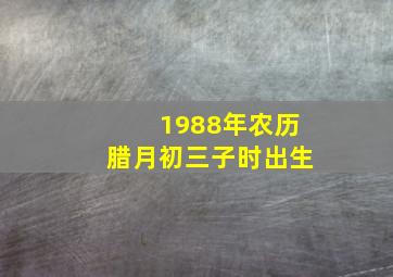 1988年农历腊月初三子时出生