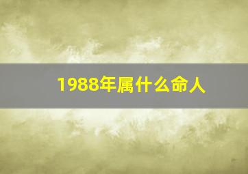 1988年属什么命人