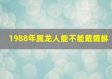 1988年属龙人能不能戴貔貅