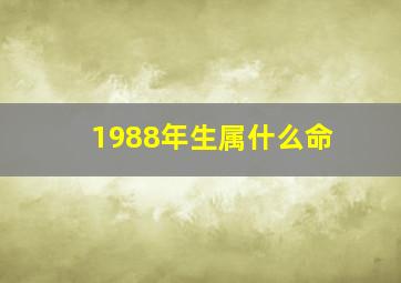 1988年生属什么命