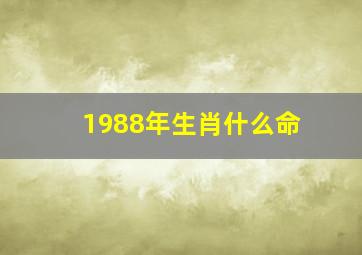 1988年生肖什么命