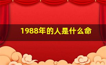 1988年的人是什么命