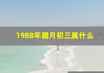 1988年腊月初三属什么