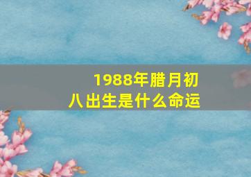 1988年腊月初八出生是什么命运