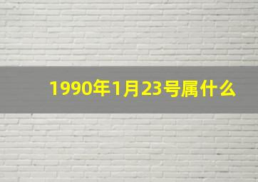 1990年1月23号属什么