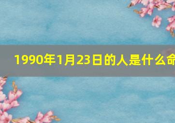 1990年1月23日的人是什么命