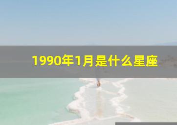 1990年1月是什么星座