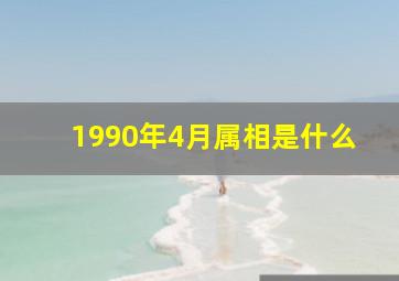 1990年4月属相是什么