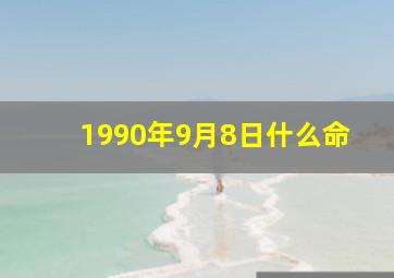 1990年9月8日什么命